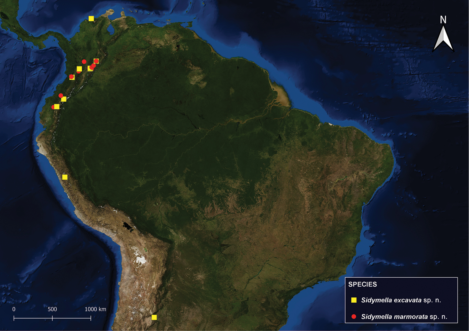 Южная Америка Амазонка из космоса